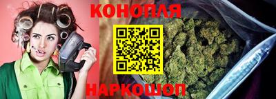 СК Шахты